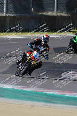 media/Mar-17-2024-Fastrack Riders (Sun) [[c7d6f8c14c]]/Level 2/Turn 6/